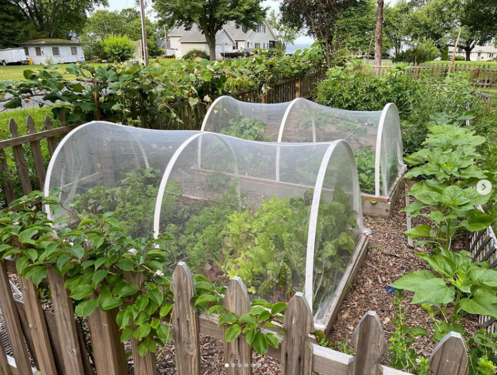 Creating a Raised Bed Garden