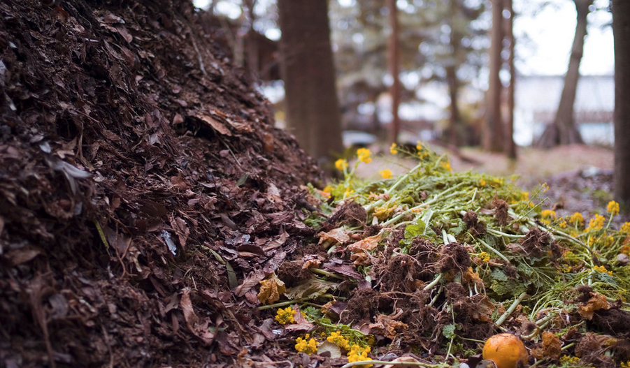 Hot or Cold Composting?