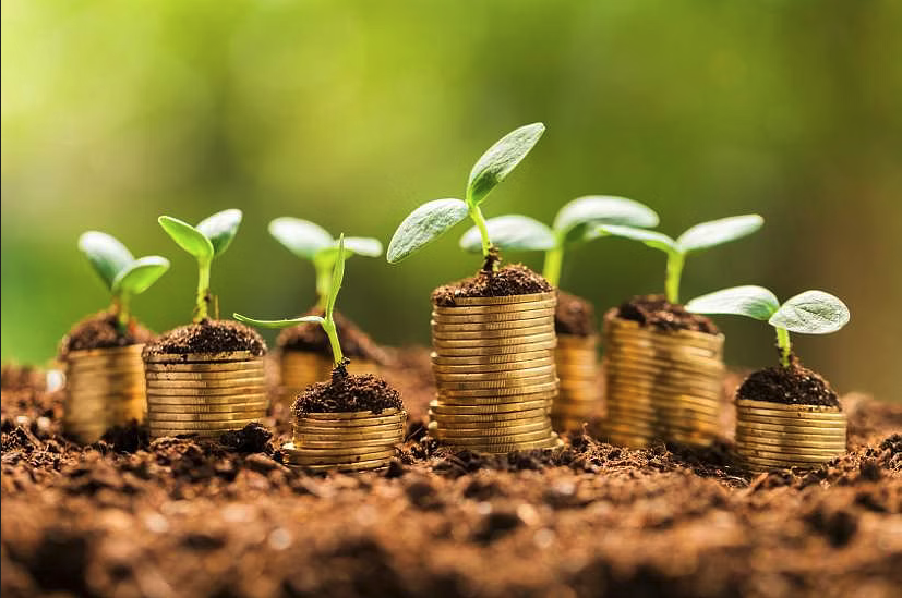 Getting Started Saving Money by Gardening!